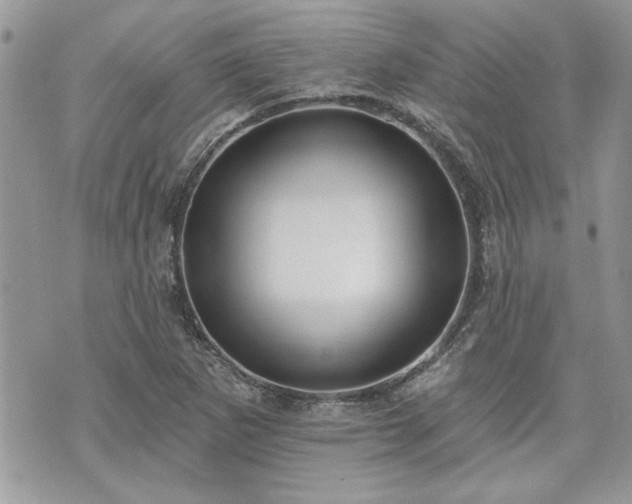 X0000070361265200606161242