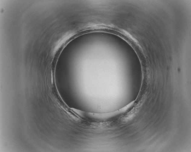 X0000070361269200606161242