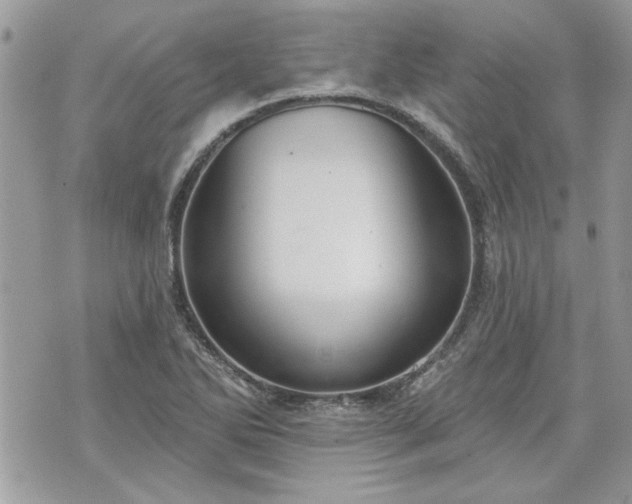 X0000070361270200606161242