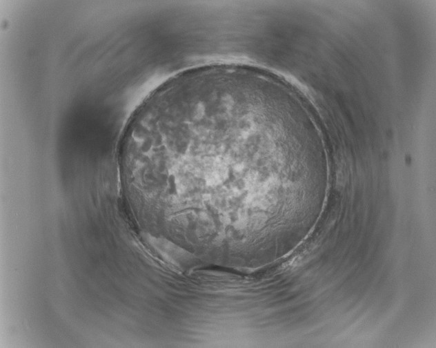 X0000070361271200606161242