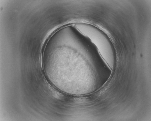 X0000070361272200606161242