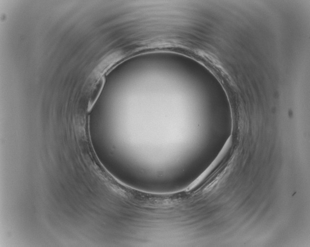 X0000070361273200606161242