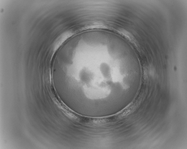 X0000070361274200606161242