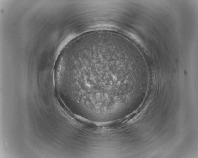 X0000070361275200606161242