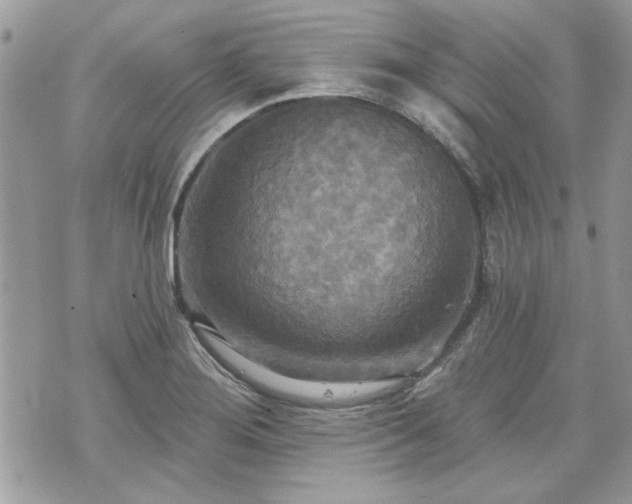 X0000070361276200606161242