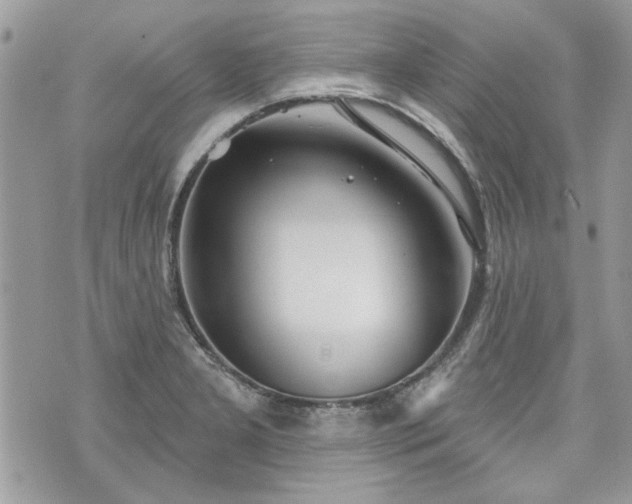 X0000070361277200606161242