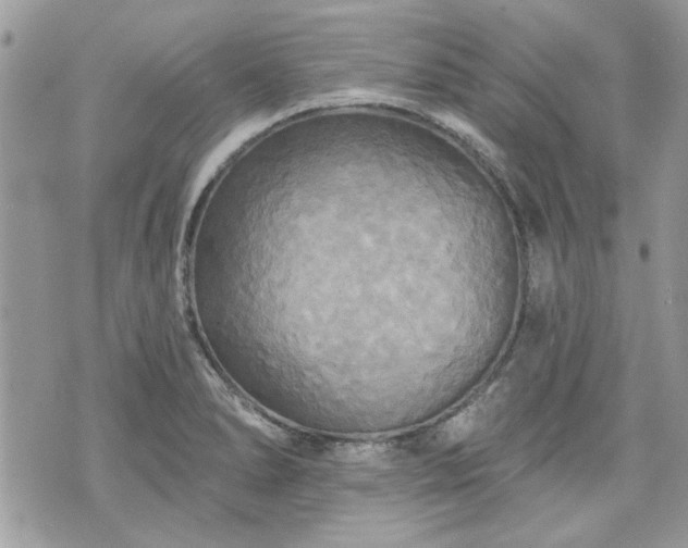 X0000070361278200606161242