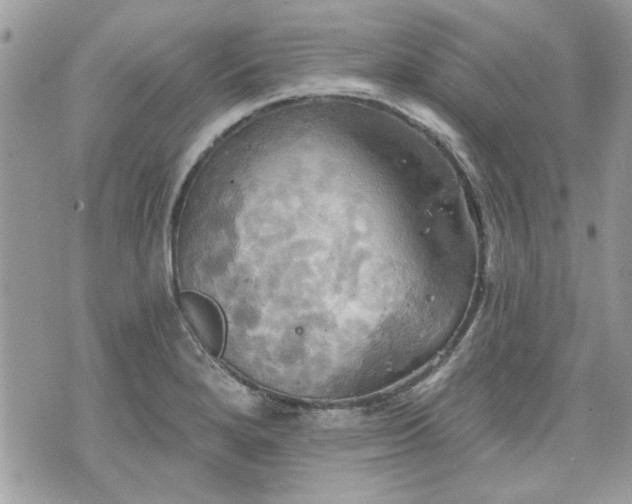 X0000070361280200606161242