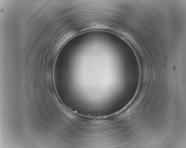 X0000070361281200606161242