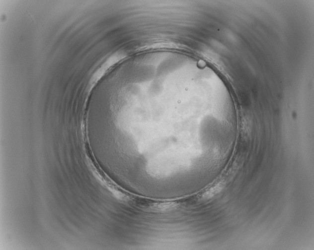 X0000070361282200606161242