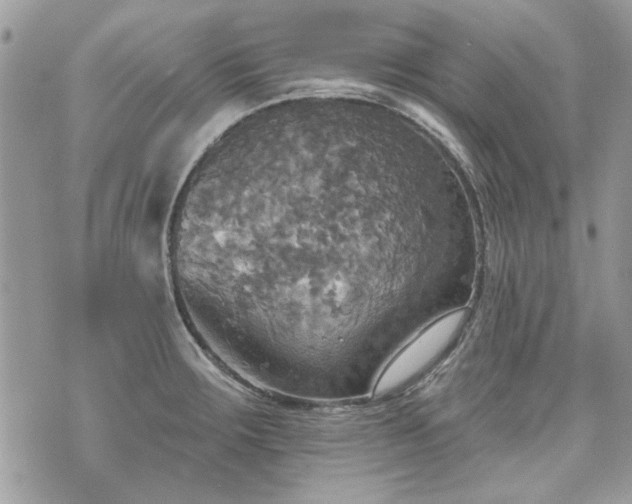 X0000070361283200606161242