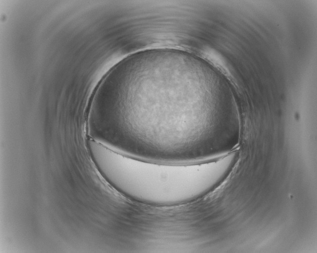 X0000070361284200606161242