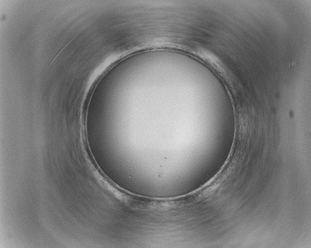 X0000070361286200606161242