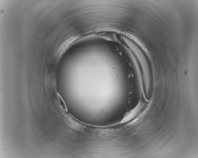 X0000070361289200606161242