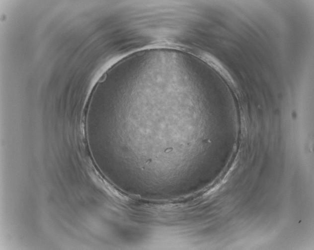 X0000070361292200606161242