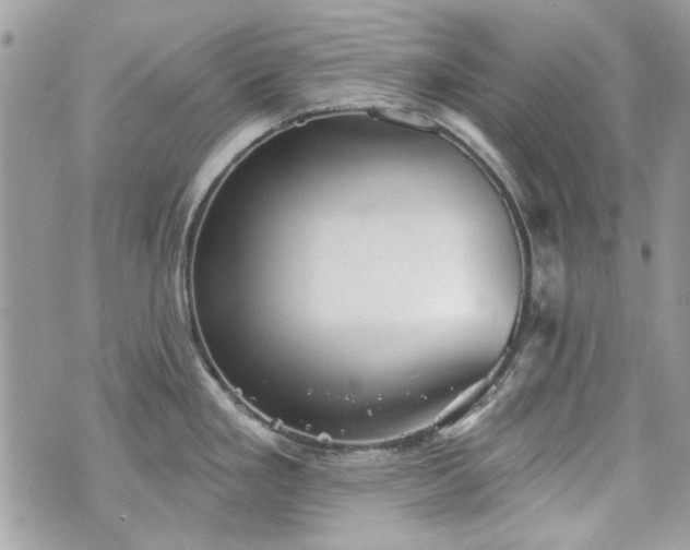 X0000070361293200606161242