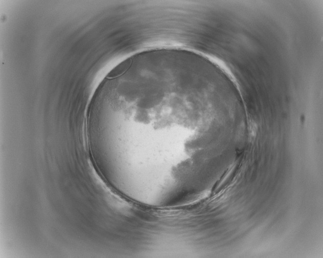 X0000070361295200606161242