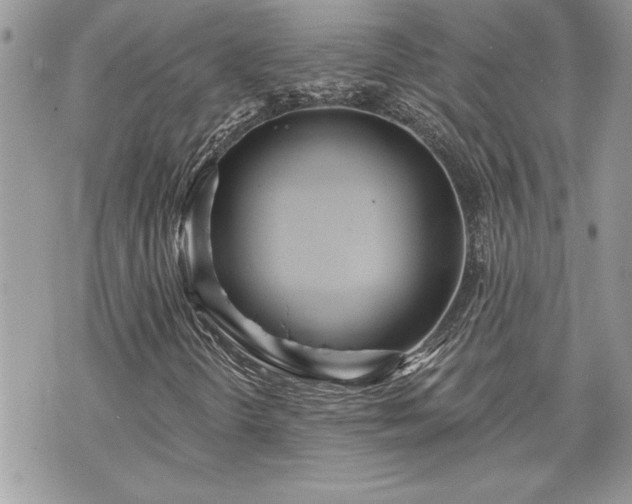 X0000070361298200606161241