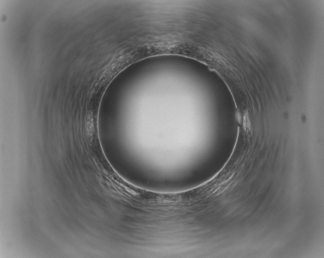 X0000070361299200606161241