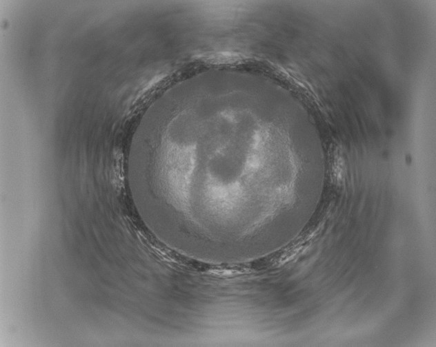 X0000070361301200606161241