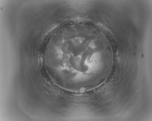 X0000070361302200606161241