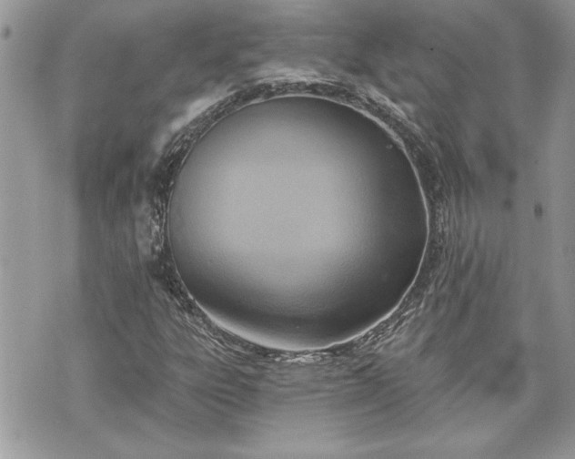 X0000070361303200606161241