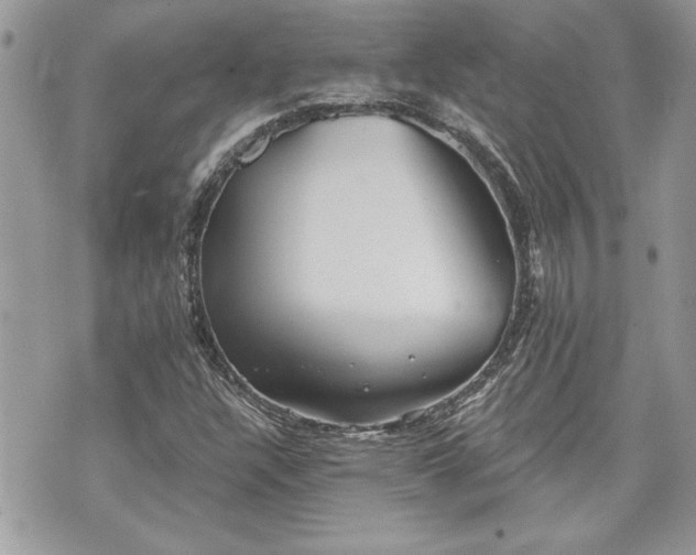 X0000070361304200606161241