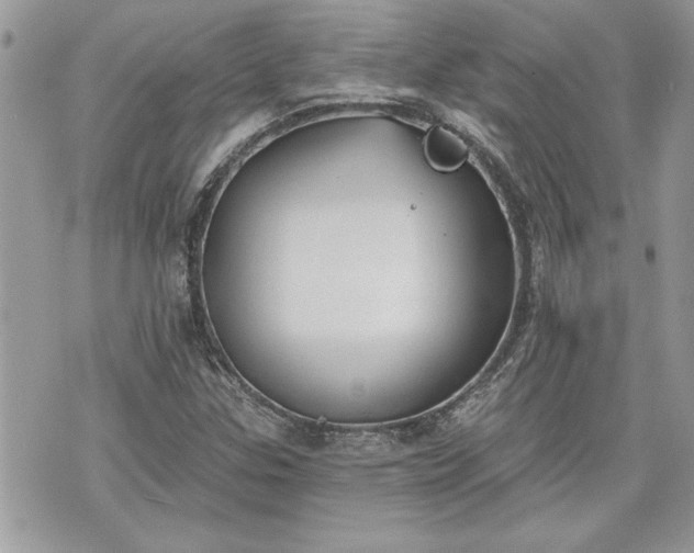 X0000070361307200606161241