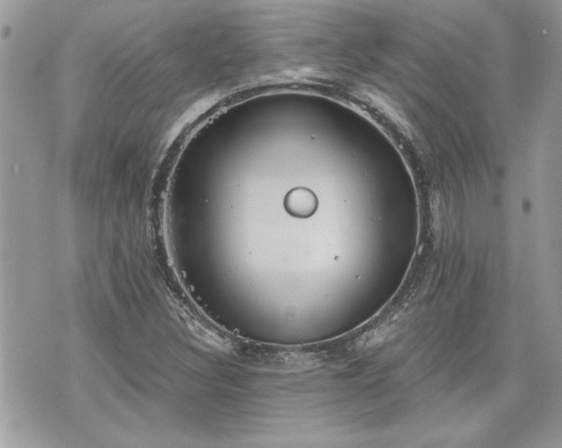 X0000070361308200606161241