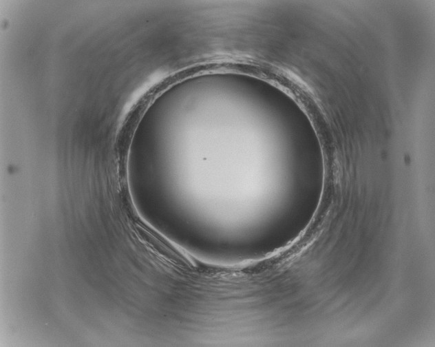 X0000070361310200606161241