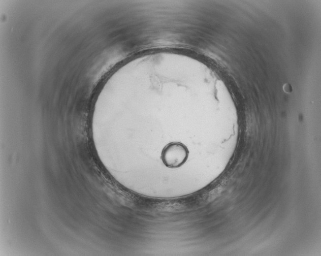 X0000070361314200606161241