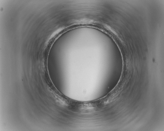 X0000070361315200606161241