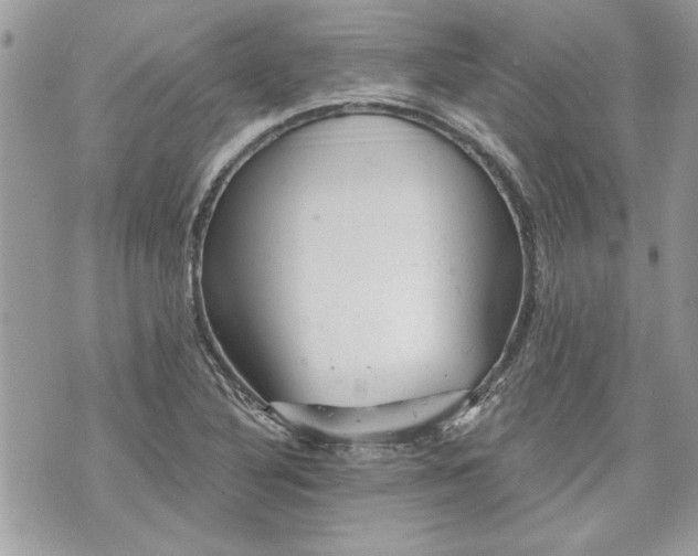 X0000070361316200606161241