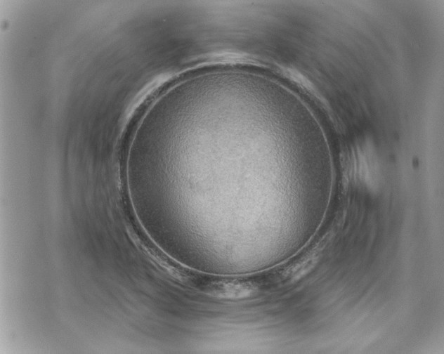 X0000070361318200606161241