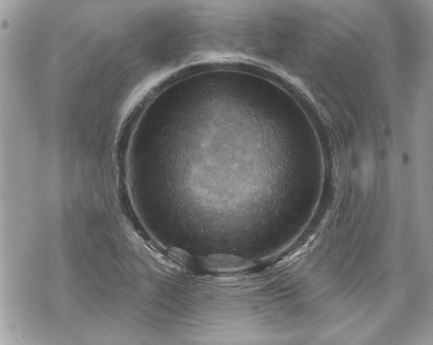 X0000070361319200606161241