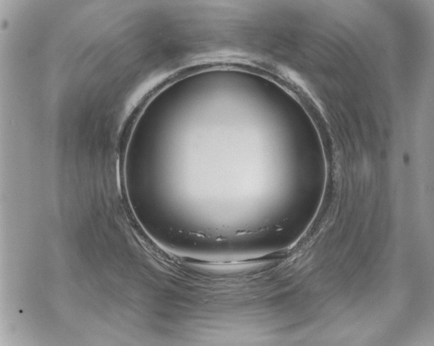 X0000070361320200606161241