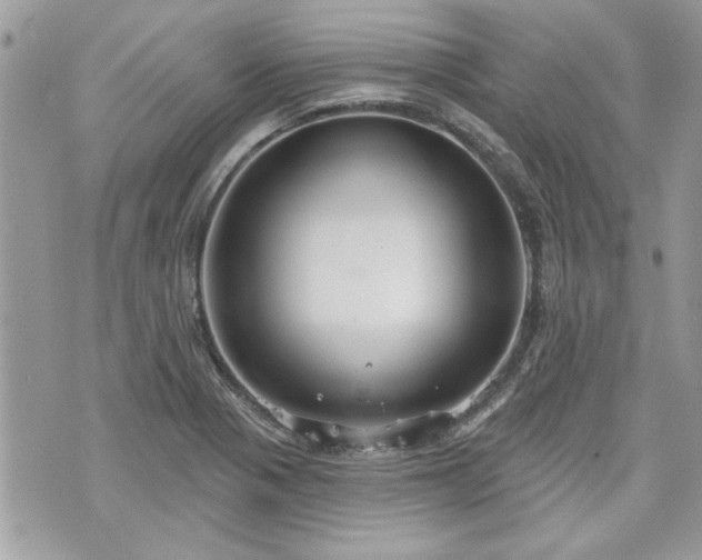 X0000070361321200606161241