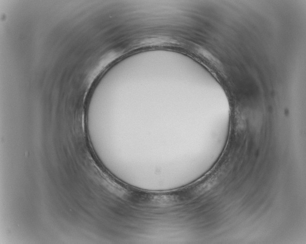 X0000070361322200606161241