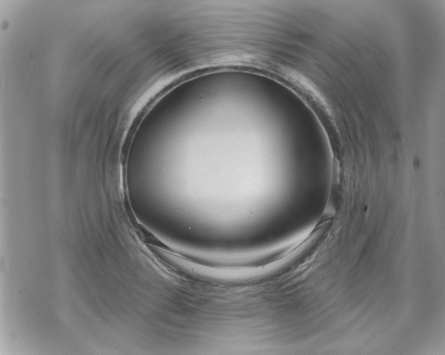 X0000070361324200606161241