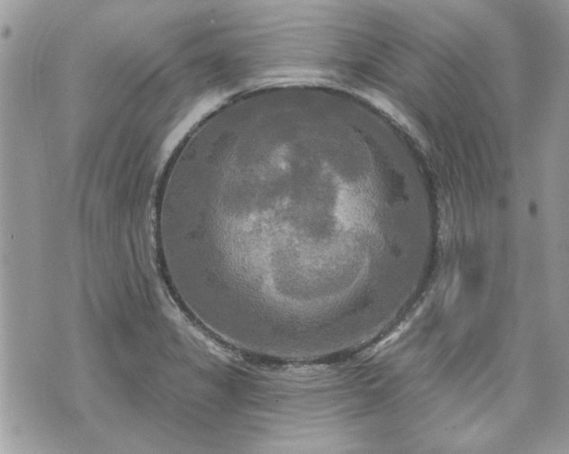 X0000070361325200606161241