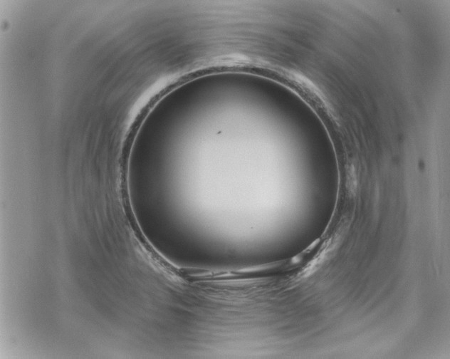 X0000070361326200606161241