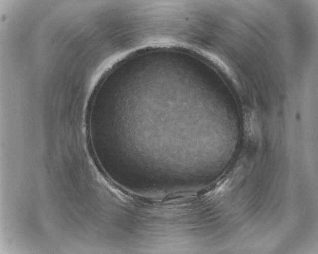 X0000070361327200606161241