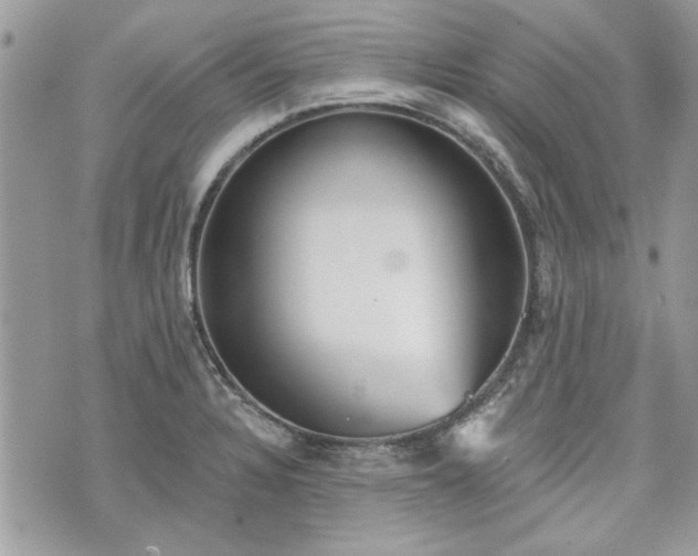 X0000070361328200606161242