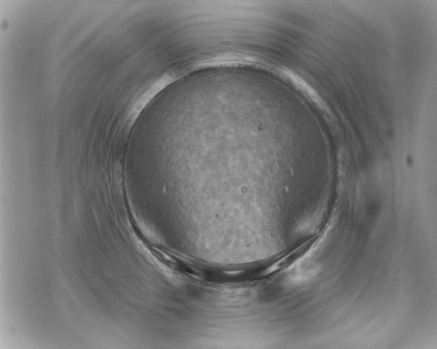 X0000070361329200606161242