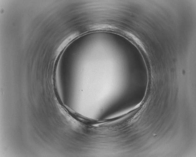 X0000070361330200606161242