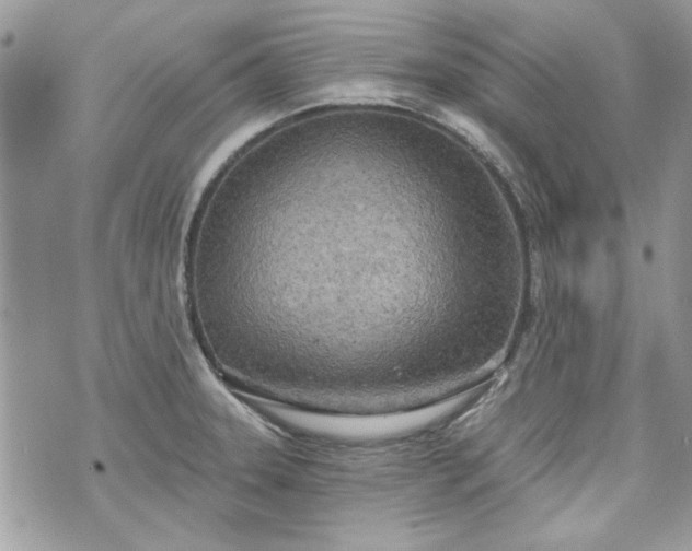 X0000070361331200606161242