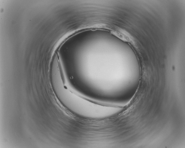 X0000070361332200606161242