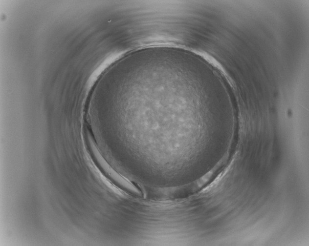 X0000070361333200606161242