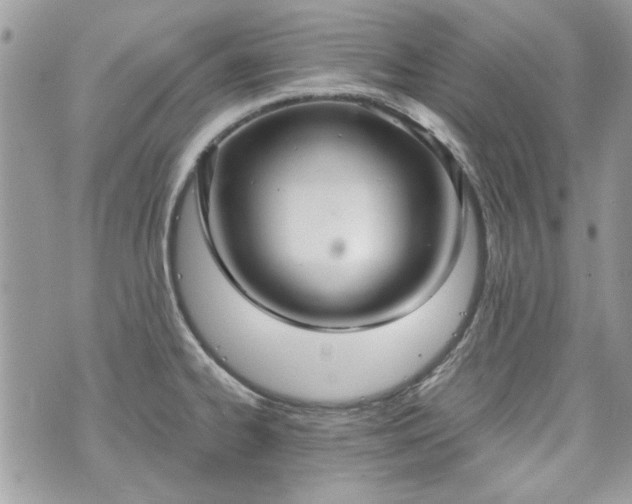 X0000070361334200606161242