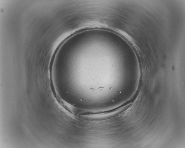 X0000070361335200606161242